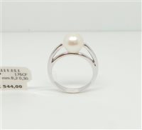 Anello Lorenza Gioielli Donna Collezione Perle in Oro Perla 8.0 Ct A1908P-15 - A1908P-15
